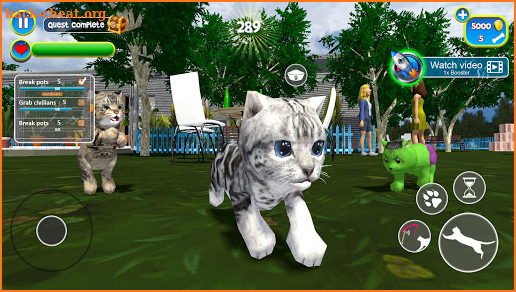 Virtual Cat Simulator : Cute Kitty screenshot