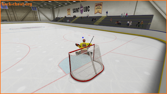 Virtual Goaltender screenshot