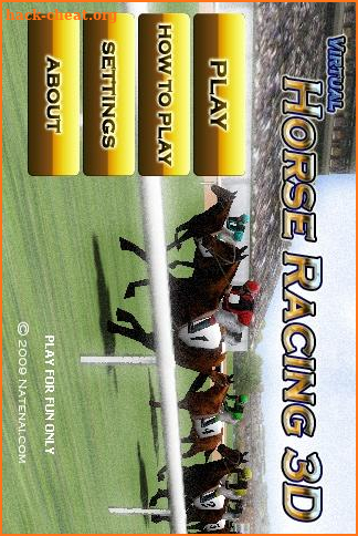 Virtual Horse Racing 3D screenshot