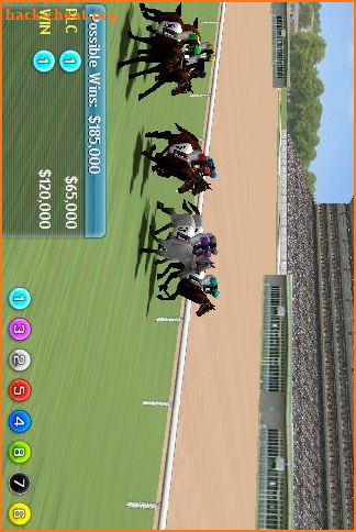 Virtual Horse Racing 3D screenshot