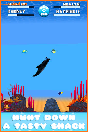 Virtual Pet Dolphin screenshot