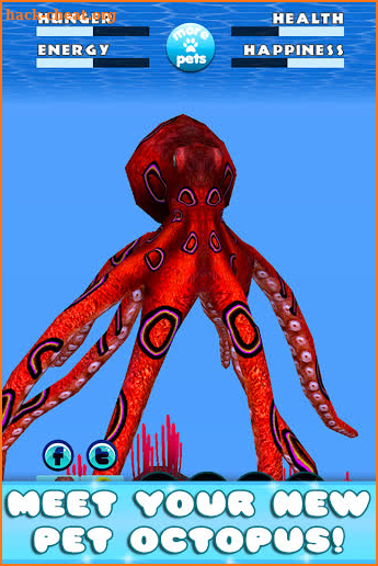 Virtual Pet Octopus screenshot
