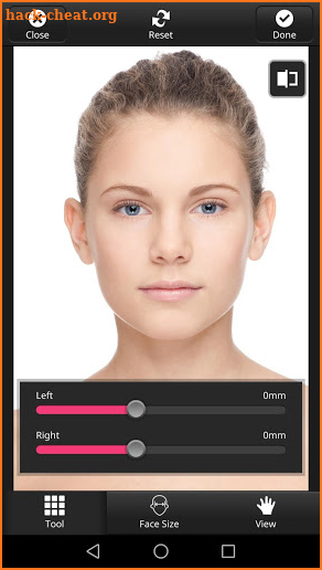 Virtual Plastic Surgery Pro screenshot