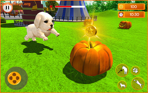 Virtual Puppy Pet Dog Game - Family Adventure Sim screenshot