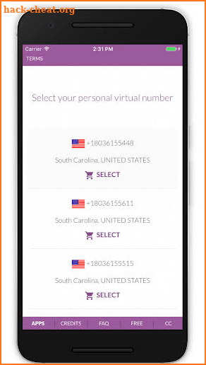 Virtual SIM (SMS) screenshot