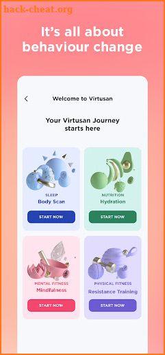 Virtusan screenshot