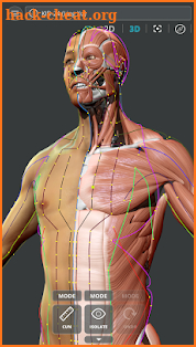 Visual Acupuncture 3D screenshot