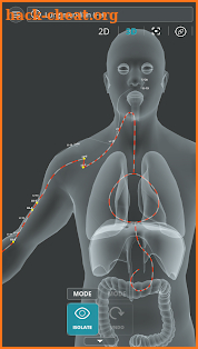 Visual Acupuncture 3D screenshot