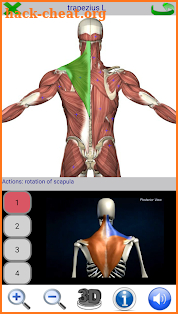 Visual Anatomy screenshot