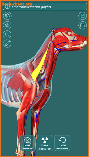 Visual Anatomy 3D - Canine screenshot