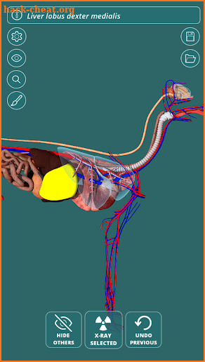 Visual Anatomy 3D - Canine screenshot