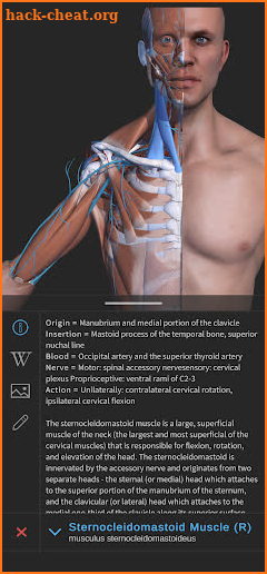 Visual Anatomy 3D - Human body screenshot