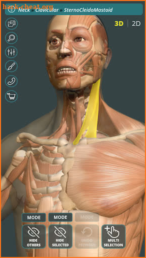 Visual Anatomy 3D | Human screenshot
