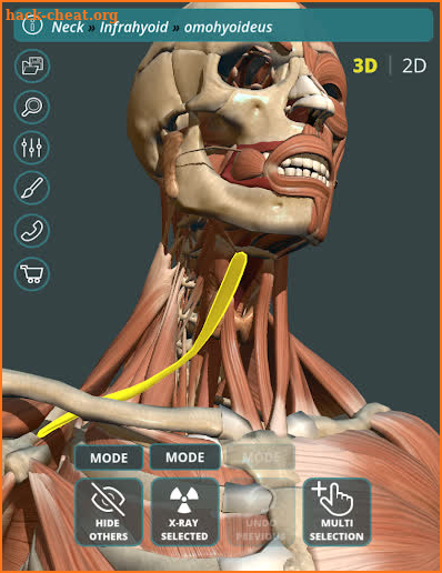 Visual Anatomy 3D | Human screenshot