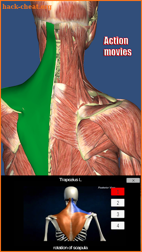 Visual Muscles 3D screenshot