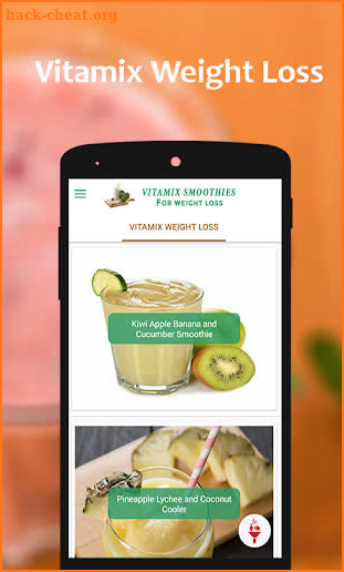 Vitamix Healthy Smoothie Recipes for Weight Loss screenshot