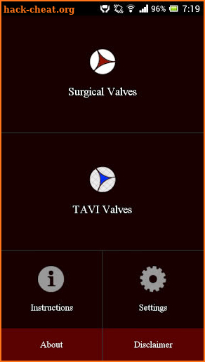 ViV Aortic screenshot