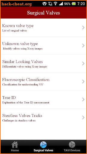 ViV Aortic screenshot