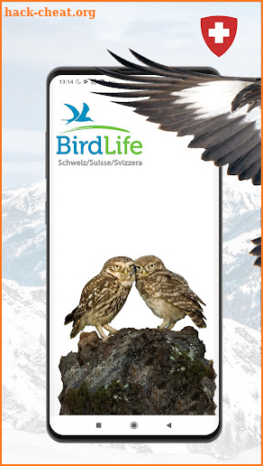 Vogelführer Birdlife Schweiz screenshot