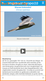 Vogels van Europa screenshot