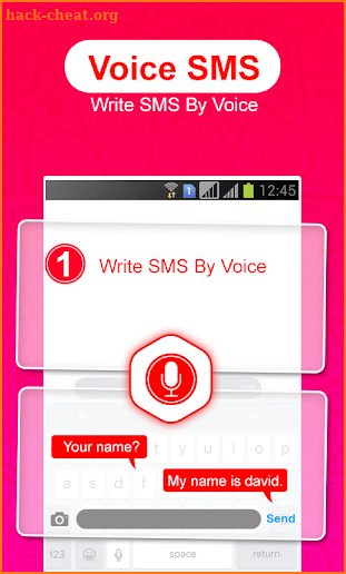 Voice Message Sender: write sms by voice screenshot