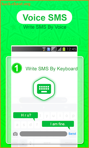 Voice Message Sender: write sms by voice screenshot