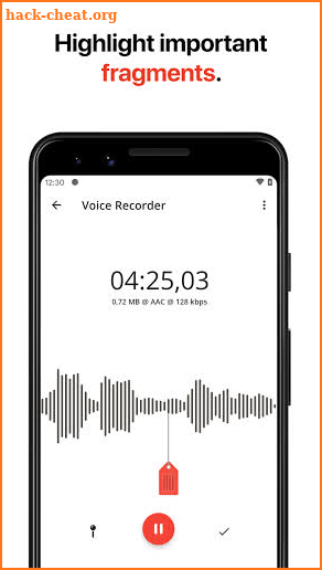 Voice Recorder screenshot