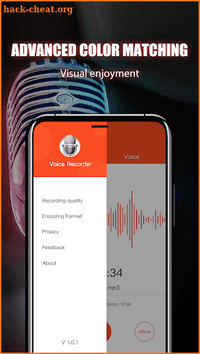 Voice Recorder & Audio Recorder screenshot