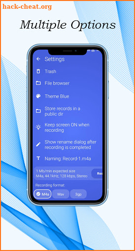 Voice Recorder - High Quality Voice Note Recording screenshot