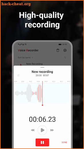 Voice Recorder - Transcription screenshot