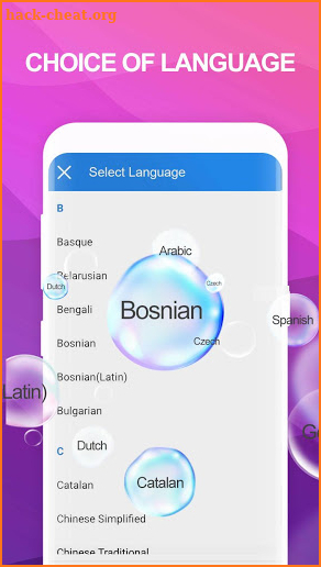 Voice Translate screenshot