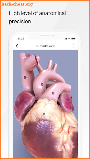 VOKA Pathology 3D screenshot