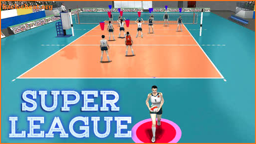 Volleyball Super League screenshot