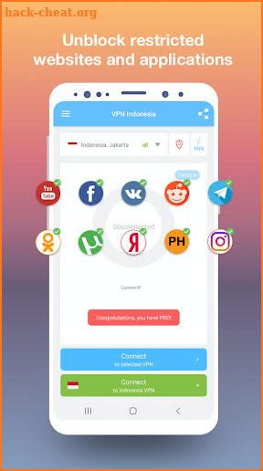 VPN Indonesia - get free Indonesian IP screenshot