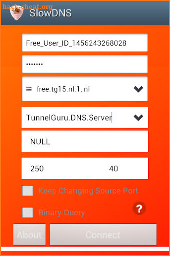 VPN Over DNS  Tunnel : SlowDNS screenshot