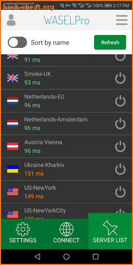 VPN WASEL Pro screenshot