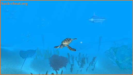 VR Ocean Aquarium 3D screenshot