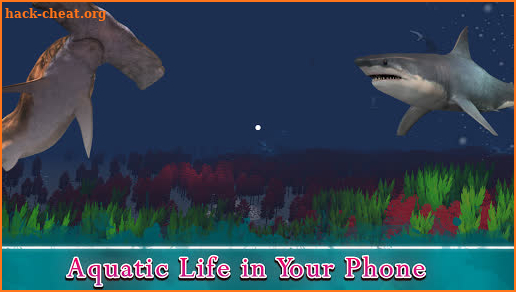 VR Ocean Aquarium 3D - Underwater National Park VR screenshot