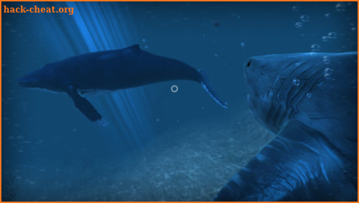 VR Shark screenshot