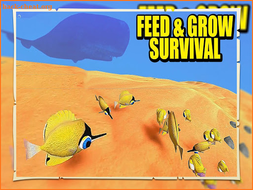 Walkthrough Fish Simulation Feed and Grow screenshot