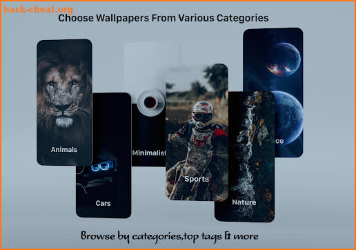 Wallberry-4K Wallpaper screenshot