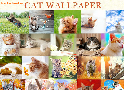 Wallpaper Cat Collection screenshot