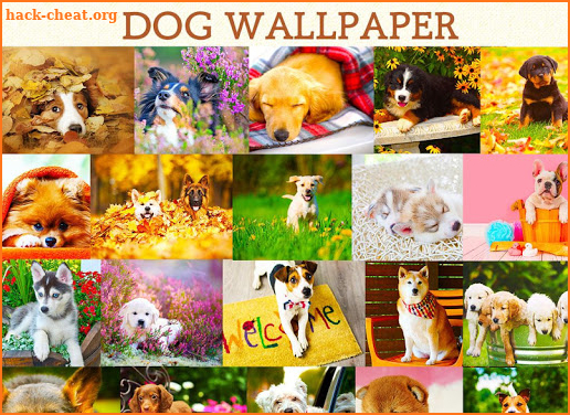 Wallpaper Dog Collection screenshot
