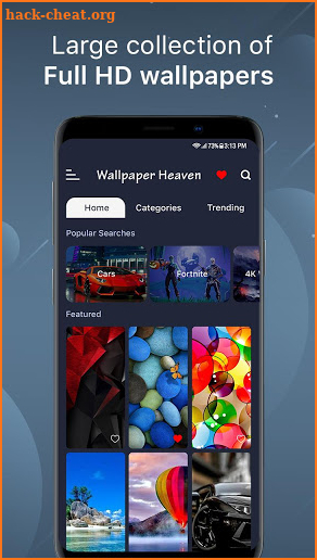 Wallpaper Heaven- Endless Backdrops, 4K & HD screenshot