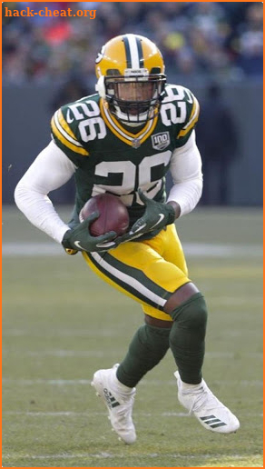 Wallpapers for Green Bay Packers Team screenshot