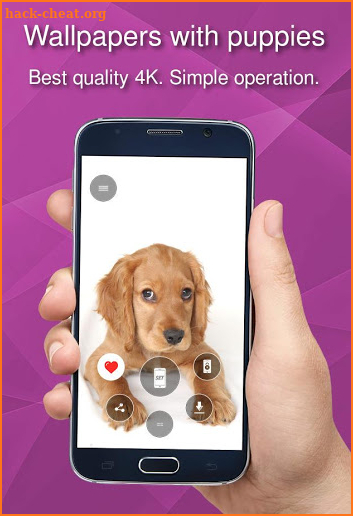 Wallpapers with puppies screenshot