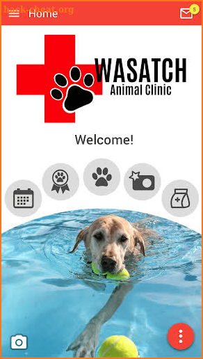 Wasatch Animal Clinic screenshot