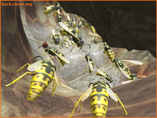 Wasp Nest Simulator 3d - Pro screenshot