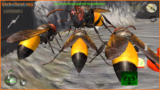 Wasp Nest Simulator Full screenshot
