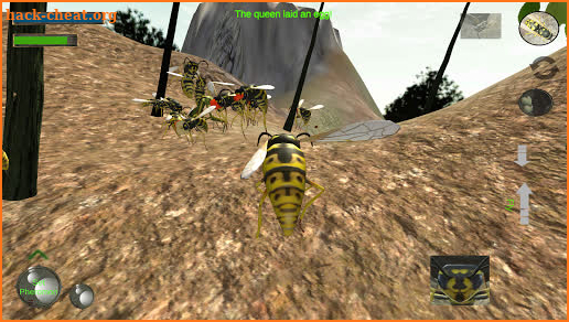 Wasp Nest Simulator Full screenshot